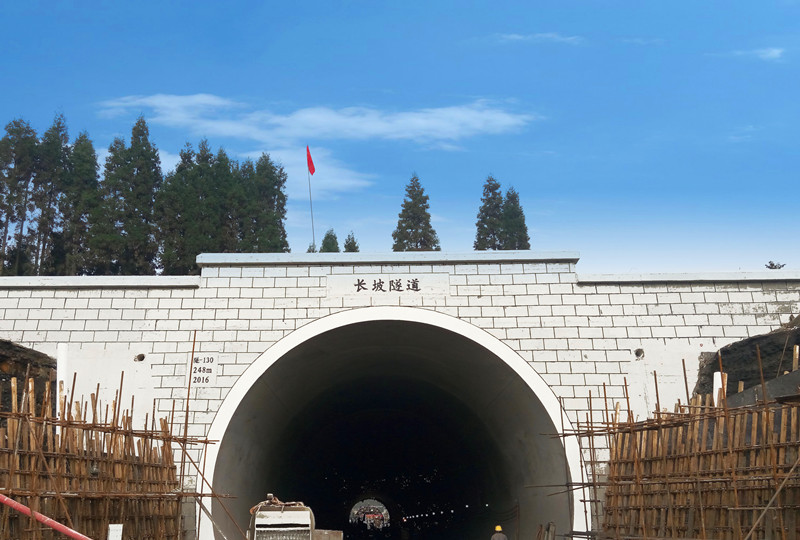 绿地董事长张玉良(2)